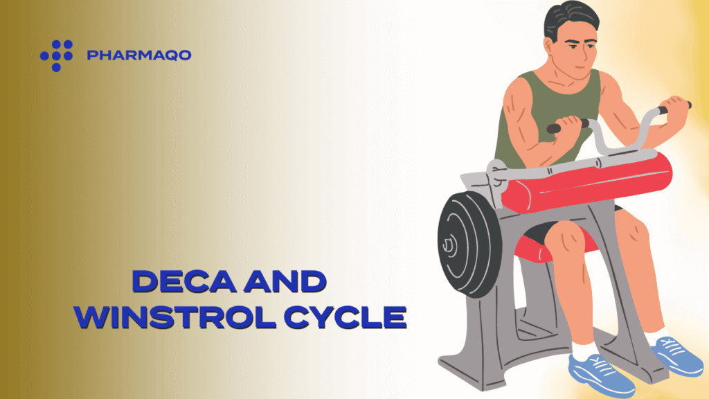 Deca and Winstrol Cycle