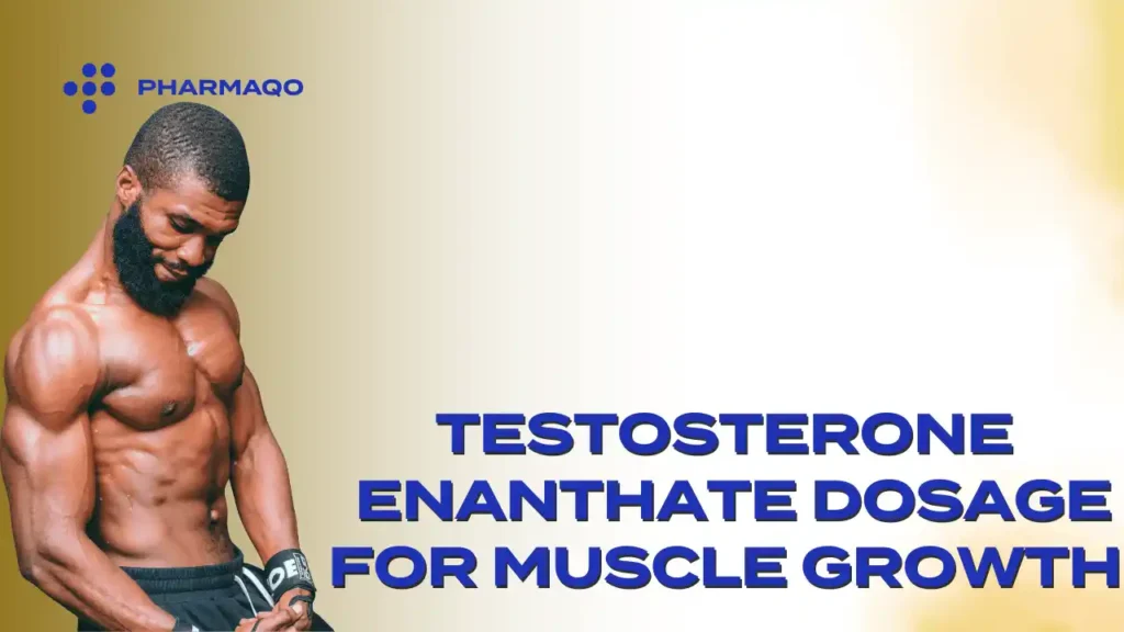 Testosterone Enanthate Dosage for Muscle Gains